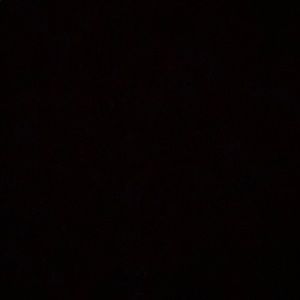 Meet your Posher, Rosa